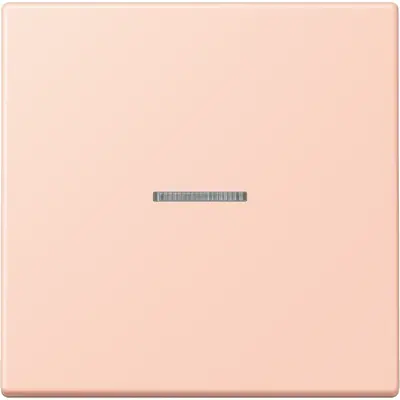 JUNG HOME schakelwip met controlevenster voor HOME draadloze schakelaar Les Couleurs l'ocre rouge clair 234 (LC 101 KO5 234)