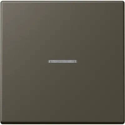 JUNG HOME schakelwip met controlevenster voor HOME draadloze schakelaar Les Couleurs ombre naturelle 31 241 (LC 101 KO5 241)