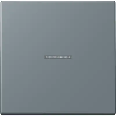 JUNG HOME schakelwip met controlevenster voor HOME draadloze schakelaar Les Couleurs gris 59 251 (LC 101 KO5 251)