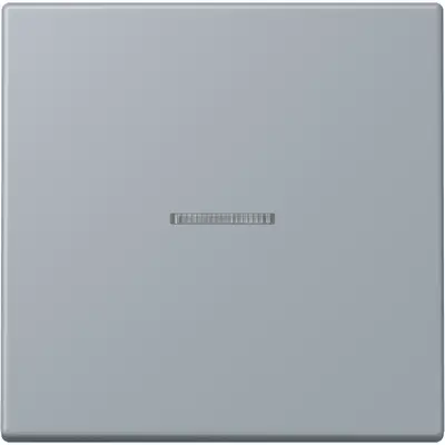 JUNG HOME schakelwip met controlevenster voor HOME draadloze schakelaar Les Couleurs gris clair 59 257 (LC 101 KO5 257)