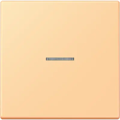 JUNG HOME schakelwip met controlevenster voor HOME draadloze schakelaar Les Couleurs terre sienne clair 59 258 (LC 101 KO5 258)