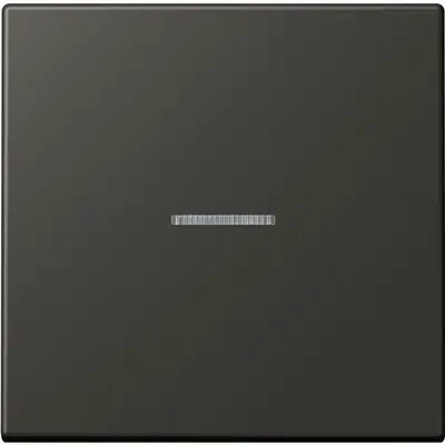 JUNG HOME schakelwip met controlevenster voor HOME draadloze schakelaar Les Couleurs ombre naturelle 59 259 (LC 101 KO5 259)
