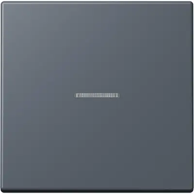 JUNG HOME schakelwip met controlevenster voor HOME draadloze schakelaar Les Couleurs gris fonce 59 262 (LC 101 KO5 262)