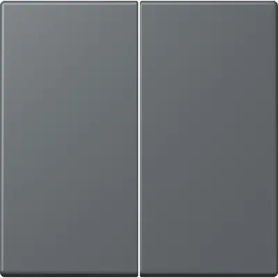 JUNG bedieningselement 2-voudig voor KNX taster F10 Les Couleurs gris fonce 31 202 (LC 102 202)