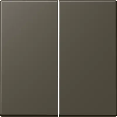 JUNG bedieningselement 2-voudig voor KNX taster F10 Les Couleurs ombre naturelle 31 241 (LC 102 241)