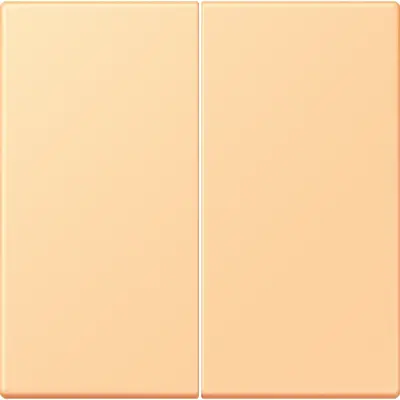 JUNG bedieningselement 2-voudig voor KNX taster F10 Les Couleurs terre sienne clair 59 258 (LC 102 258)