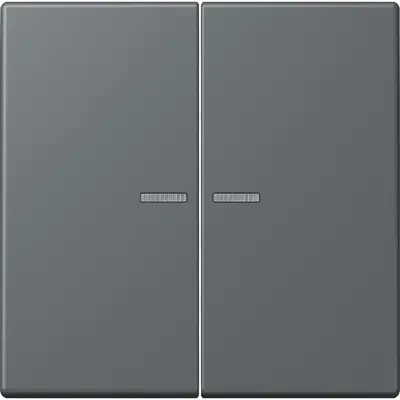 JUNG HOME schakelwip voor KNX-taster 2-voudig Les Couleurs gris fonce 31 202 (LC 102 KO5 202)