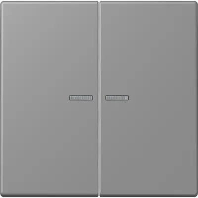 JUNG HOME schakelwip voor KNX-taster 2-voudig Les Couleurs gris 31 203 (LC 102 KO5 203)