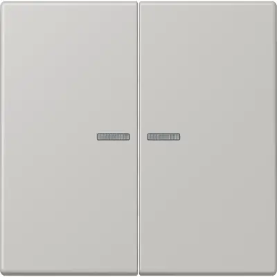 JUNG HOME schakelwip voor KNX-taster 2-voudig Les Couleurs gris clair 31 205 (LC 102 KO5 205)