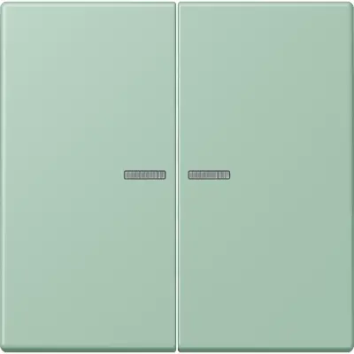 JUNG HOME schakelwip voor KNX-taster 2-voudig Les Couleurs vert anglais clair 217 (LC 102 KO5 217)