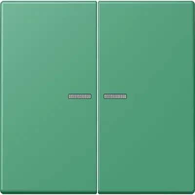JUNG HOME schakelwip voor KNX-taster 2-voudig Les Couleurs vert 59 250 (LC 102 KO5 250)