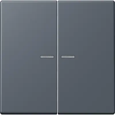 JUNG HOME schakelwip voor KNX-taster 2-voudig Les Couleurs gris fonce 59 262 (LC 102 KO5 262)