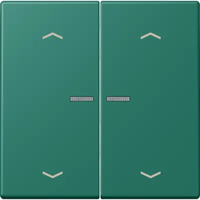 JUNG HOME schakelwip voor KNX-taster 2-voudig met pijlsymbolen Les Couleurs vert anglais 216 (LC 102 KO5P 216)