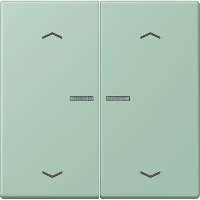 JUNG HOME schakelwip voor KNX-taster 2-voudig met pijlsymbolen Les Couleurs vert anglais clair 217 (LC 102 KO5P 217)