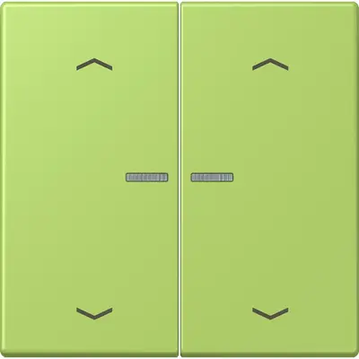 JUNG HOME schakelwip voor KNX-taster 2-voudig met pijlsymbolen Les Couleurs vert clair 221 (LC 102 KO5P 221)