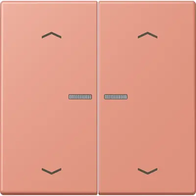 JUNG HOME schakelwip voor KNX-taster 2-voudig met pijlsymbolen Les Couleurs l'ocre rouge moyen 233 (LC 102 KO5P 233)
