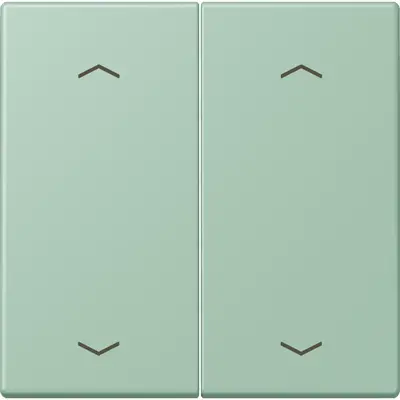 JUNG bedieningselement 2-voudig met pijlsymbolen voor KNX taster F10 Les Couleurs vert anglais clair 217 (LC 102 P 217)