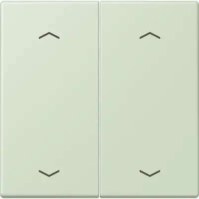 JUNG bedieningselement 2-voudig met pijlsymbolen voor KNX taster F10 Les Couleurs vert anglais pale 218 (LC 102 P 218)