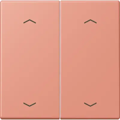JUNG bedieningselement 2-voudig met pijlsymbolen voor KNX taster F10 Les Couleurs l'ocre rouge moyen 233 (LC 102 P 233)
