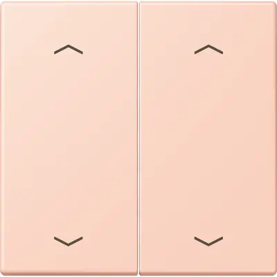 JUNG bedieningselement 2-voudig met pijlsymbolen voor KNX taster F10 Les Couleurs l'ocre rouge clair 234 (LC 102 P 234)