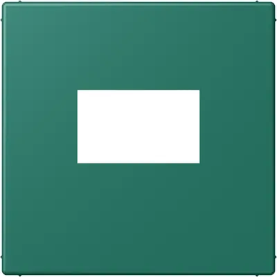 JUNG centraalplaat USB-lader met klikbevestiging Les Couleurs vert anglais 216 (LC 1969 USB 216)