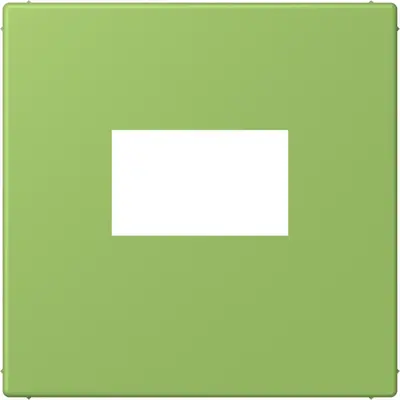 JUNG centraalplaat USB-lader met klikbevestiging Les Couleurs vert 31 220 (LC 1969 USB 220)