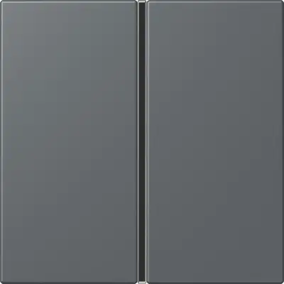 JUNG bedieningselement / centraalplaat knx f40 1v Les Couleurs gris fonce 31 202 (LC 401 TSA 202)