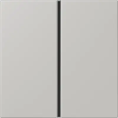 JUNG bedieningselement / centraalplaat knx f40 1v Les Couleurs gris clair 31 205 (LC 401 TSA 205)