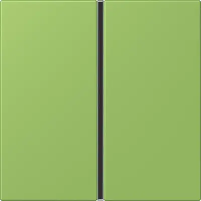 JUNG bedieningselement / centraalplaat knx f40 1v Les Couleurs vert 31 220 (LC 401 TSA 220)