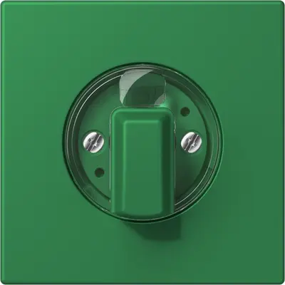 JUNG draaiknop tbv standen/jaloezie schakelaar Les Couleurs vert fonce 219 (LC 1941 219)