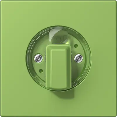 JUNG draaiknop tbv standen/jaloezie schakelaar Les Couleurs vert 31 220 (LC 1941 220)