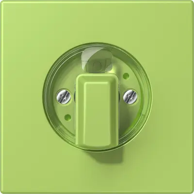 JUNG draaiknop tbv standen/jaloezie schakelaar Les Couleurs vert clair 221 (LC 1941 221)
