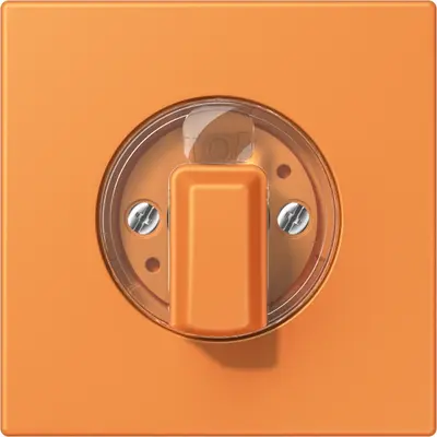 JUNG draaiknop tbv standen/jaloezie schakelaar Les Couleurs orange clair 225 (LC 1941 225)