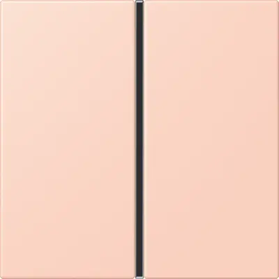 JUNG bedieningselement / centraalplaat knx f40 1v Les Couleurs l'ocre rouge clair 234 (LC 401 TSA 234)
