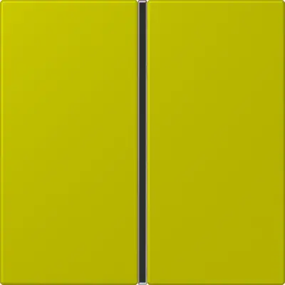JUNG bedieningselement / centraalplaat knx f40 1v Les Couleurs vert olive vif 249 (LC 401 TSA 249)