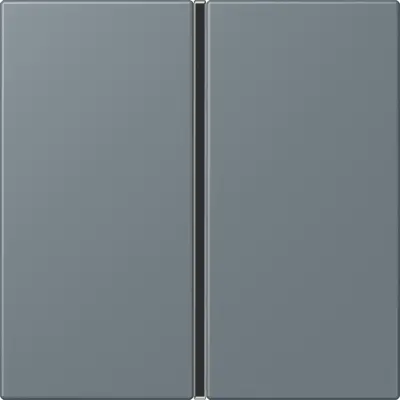 JUNG bedieningselement / centraalplaat knx f40 1v Les Couleurs gris 59 251 (LC 401 TSA 251)