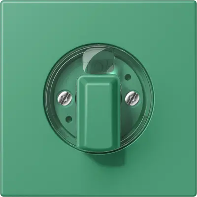 JUNG draaiknop tbv standen/jaloezie schakelaar Les Couleurs vert 59 250 (LC 1941 250)