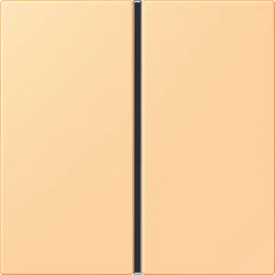 JUNG bedieningselement / centraalplaat knx f40 1v Les Couleurs terre sienne clair 59 258 (LC 401 TSA 258)