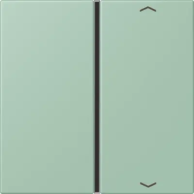 JUNG bedieningselement / centraalplaat knx f40 1v pl Les Couleurs vert anglais clair 217 (LC 401 TSAP 217)