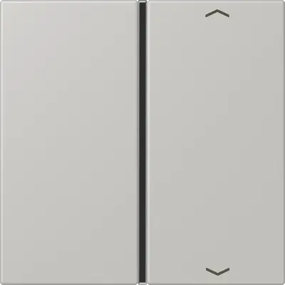 JUNG bedieningselement / centraalplaat knx f40 1v pl Les Couleurs gris clair 31 205 (LC 401 TSAP 205)