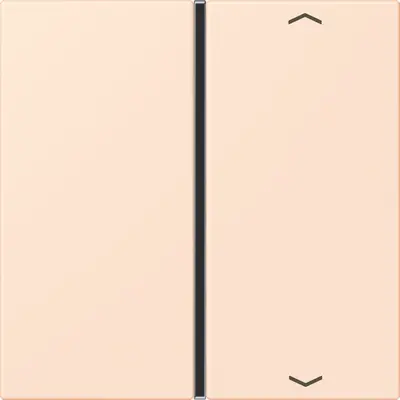 JUNG bedieningselement / centraalplaat knx f40 1v pl Les Couleurs orange pale 226 (LC 401 TSAP 226)