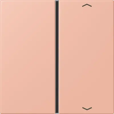 JUNG bedieningselement / centraalplaat knx f40 1v pl Les Couleurs rose clair 231 (LC 401 TSAP 231)