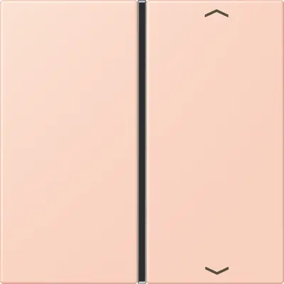 JUNG bedieningselement / centraalplaat knx f40 1v pl Les Couleurs l'ocre rouge clair 234 (LC 401 TSAP 234)