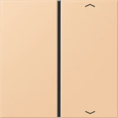 JUNG bedieningselement / centraalplaat knx f40 1v pl Les Couleurs terre sienne claire 31 237 (LC 401 TSAP 237)
