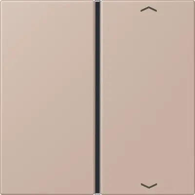 JUNG bedieningselement / centraalplaat knx f40 1v pl Les Couleurs ombre brulee claire 240 (LC 401 TSAP 240)