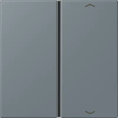 JUNG bedieningselement / centraalplaat knx f40 1v pl Les Couleurs gris 59 251 (LC 401 TSAP 251)
