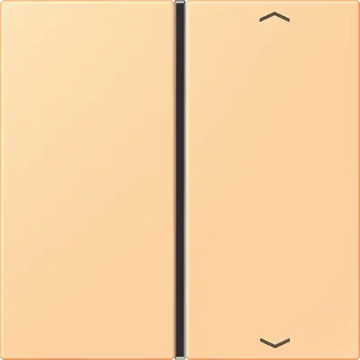 JUNG bedieningselement / centraalplaat knx f40 1v pl Les Couleurs terre sienne clair 59 258 (LC 401 TSAP 258)