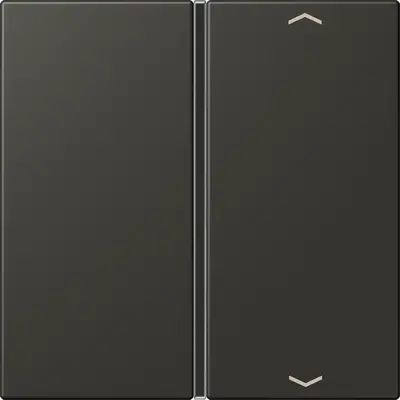 JUNG bedieningselement / centraalplaat knx f40 1v pl Les Couleurs ombre naturelle 59 259 (LC 401 TSAP 259)