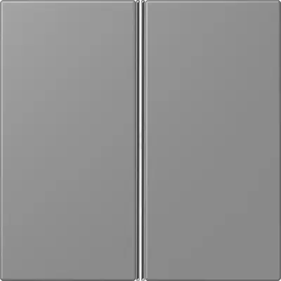 JUNG bedieningselement / centraalplaat knx f40 2v Les Couleurs gris 31 203 (LC 402 TSA 203)
