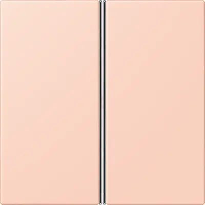 JUNG bedieningselement / centraalplaat knx f40 2v Les Couleurs l'ocre rouge clair 234 (LC 402 TSA 234)